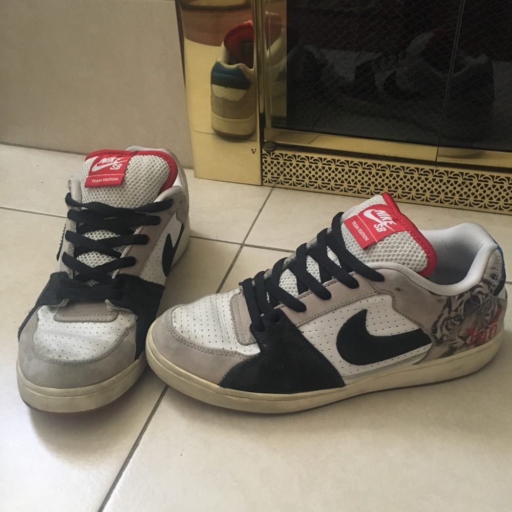 Nike SB Team Edition Danny Supa